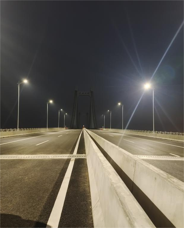 东莞沙田东江南支流港湾大桥项目低压电及照明工程